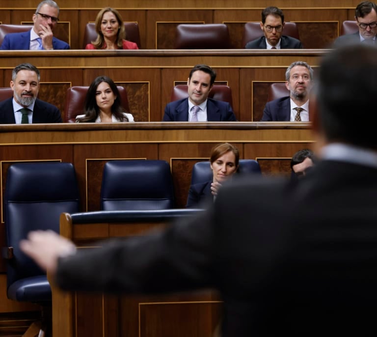 El sesgo en las encuestas que ve el PP: las que "inflan" a Sánchez acercan el 'sorpasso' de Vox