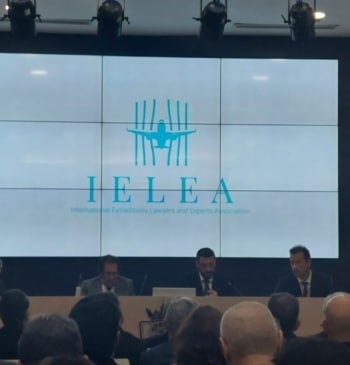 "La cooperación jurídica internacional está muy poco desarrollada": nace la Asociación Internacional [...]