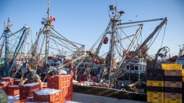 El Gobierno canario organiza una misión para invertir en el Sáhara ocupado por Marruecos