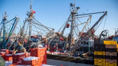 El Gobierno canario organiza una misión para invertir en el Sáhara ocupado por Marruecos