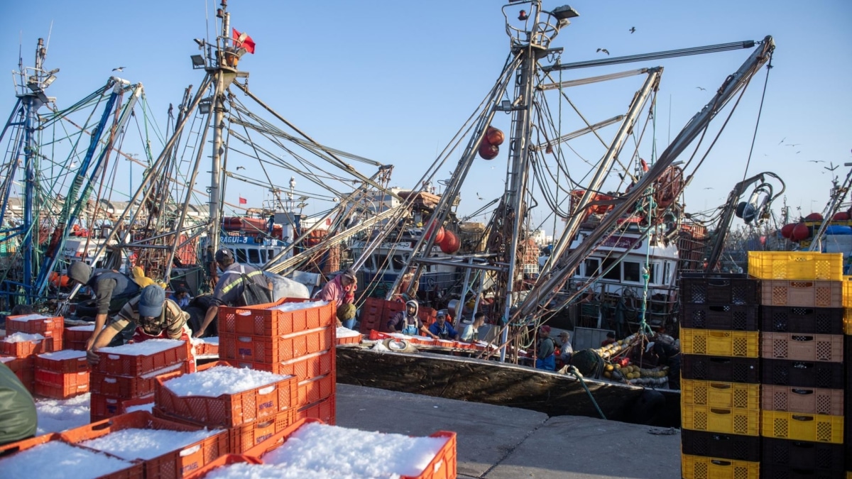 La Comisión Europea abre la puerta a negociar un nuevo acuerdo pesquero con Marruecos pese al revés judicial por el Sáhara