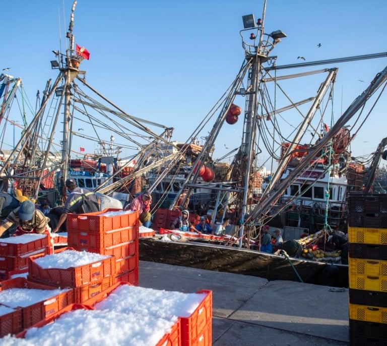 La Comisión Europea abre la puerta a negociar un nuevo acuerdo pesquero con Marruecos pese al revés judicial por el Sáhara