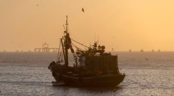 El expansionismo por mar de Marruecos que amenaza las aguas de Canarias 