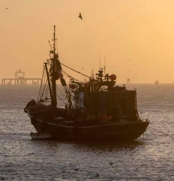El expansionismo por mar de Marruecos que amenaza las aguas de Canarias