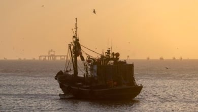 El expansionismo por mar de Marruecos que amenaza las aguas de Canarias