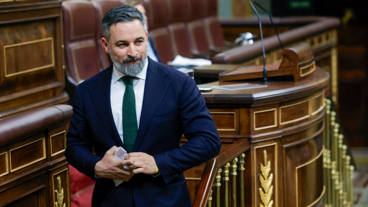 El presidente de Vox, Santiago Abascal, en un pleno den el Congreso de los Diputados