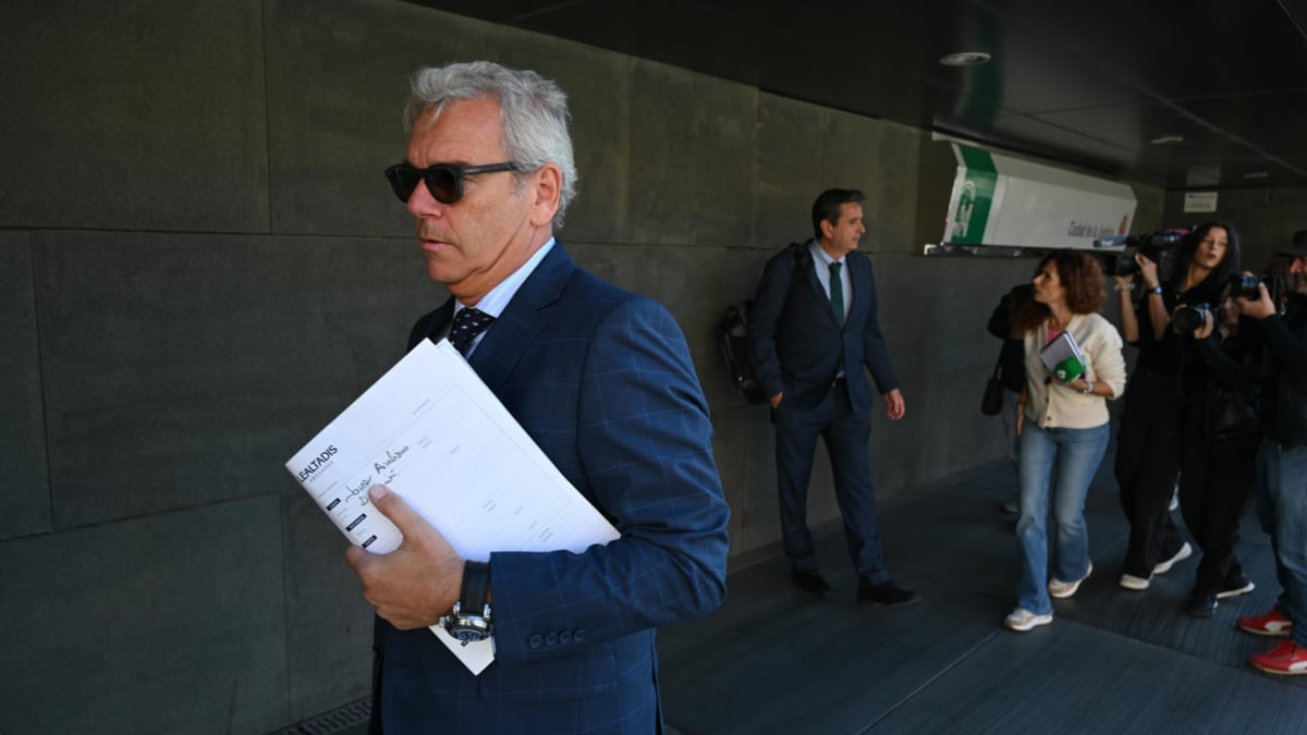 El presidente de la Diputación de Almería queda en libertad provisional tras su detención en el 'caso mascarillas'