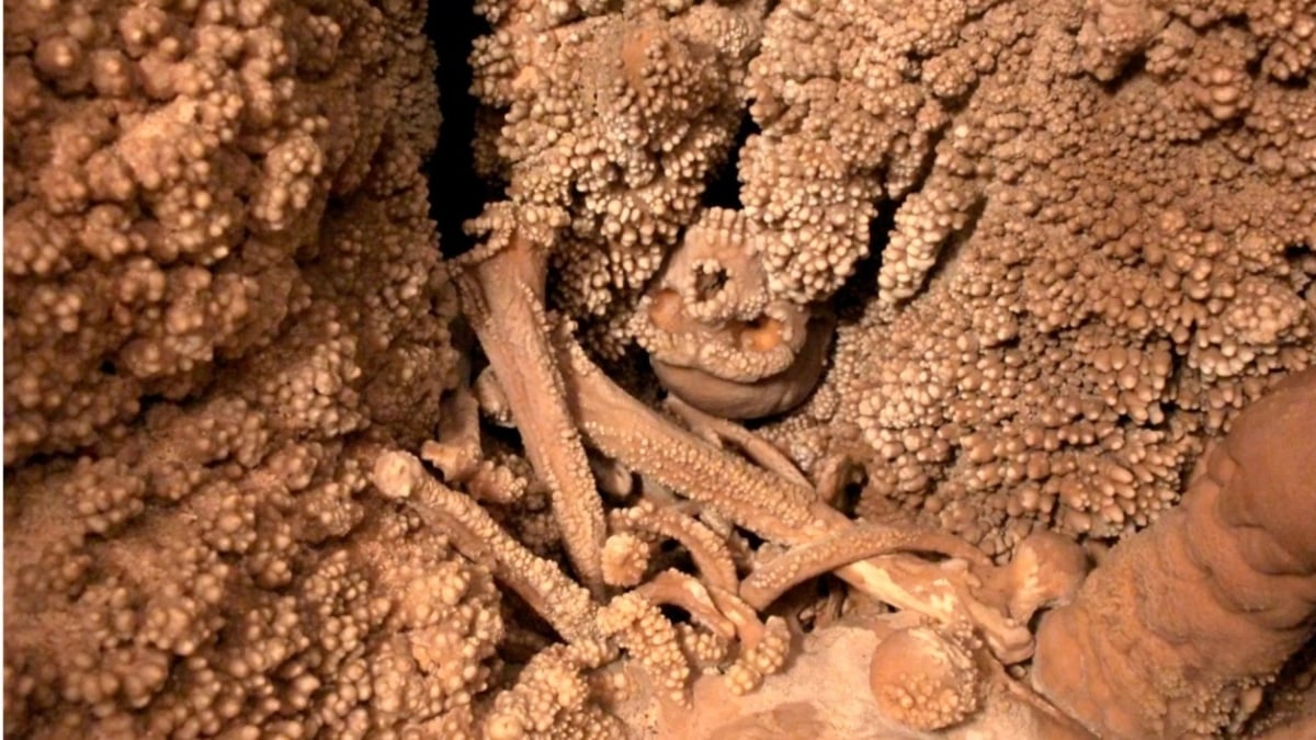 Imagen del hombre de Altamura