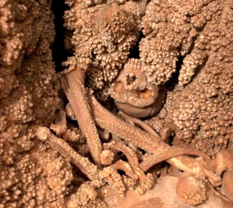 Este es el hallazgo científico que arroja luz sobre la “paradoja” de la nariz neandertal