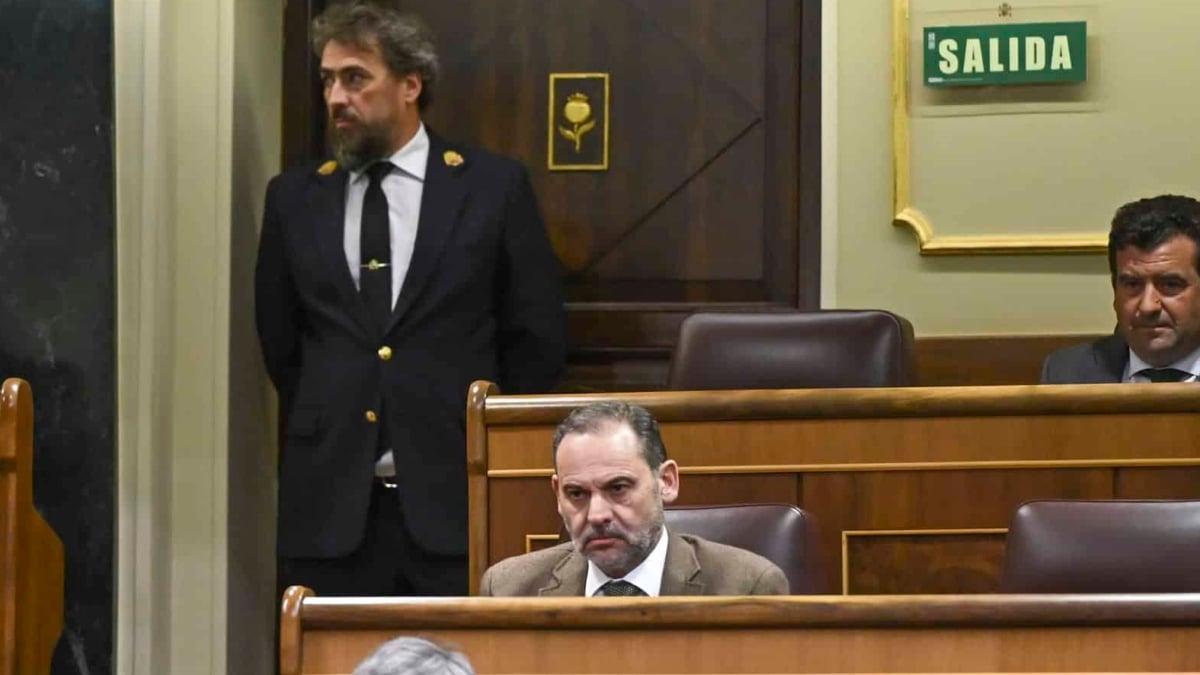 El Congreso activa el trámite para retirarle a Ábalos sus derechos como diputado