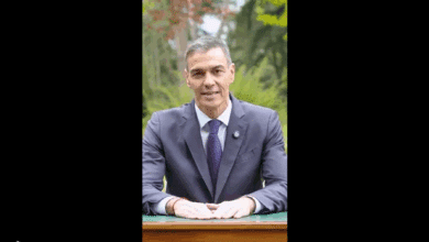 Lo que de verdad importa es Sánchez