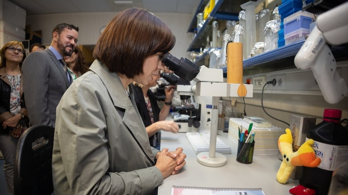 La ministra de Ciencia, Innovación y Universidades, Diana Morant, con el nuevo director científico del Centro Nacional de Investigaciones Oncológicas (CNIO), Raúl Rabadán, en la sede del organismo el pasado mes de septiembre.