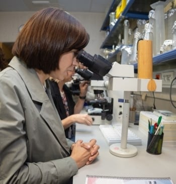 El CNIO destituye a su antigua cúpula económica tras las denuncias de [...]