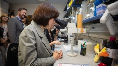 El CNIO destituye a su antigua cúpula económica tras las denuncias de irregularidades