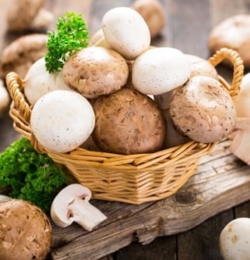 El truco para mantener las setas frescas durante más tiempo