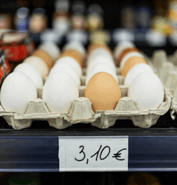 Y la docena de huevos ya está a 3,10 euros