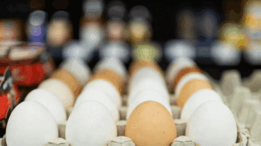 Y la docena de huevos ya está a 3,10 euros