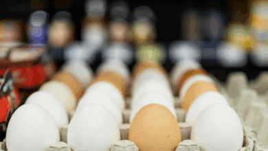 Y la docena de huevos ya está a 3,10 euros