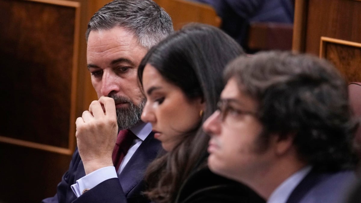 El presidente de Vox, Santiago Abascal, junto a su portavoz parlamentaria, Pepa Millán, y el portavoz económico, José María Figaredo, este jueves en el Congreso