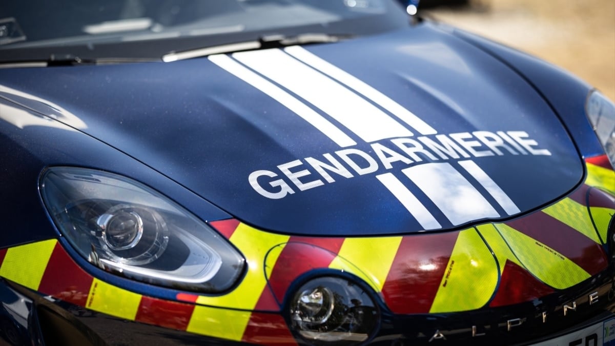 Un atropello masivo deja al menos diez heridos en la isla francesa de Oléron