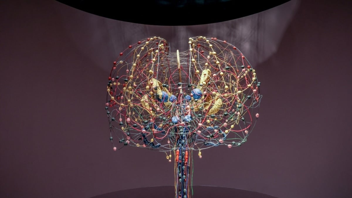 El nuevo mapa dinámico del cerebro revela el origen de trastornos como el autismo, la esquizofrenia o el cáncer cerebral