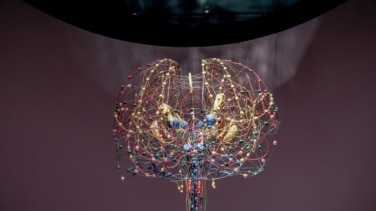 El nuevo mapa dinámico del cerebro revela el origen de trastornos como el autismo, la esquizofrenia o el cáncer cerebral