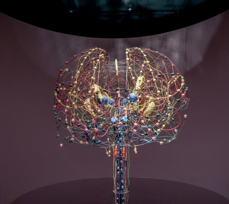 El nuevo mapa dinámico del cerebro revela el origen de trastornos como el autismo, la esquizofrenia o el cáncer cerebral