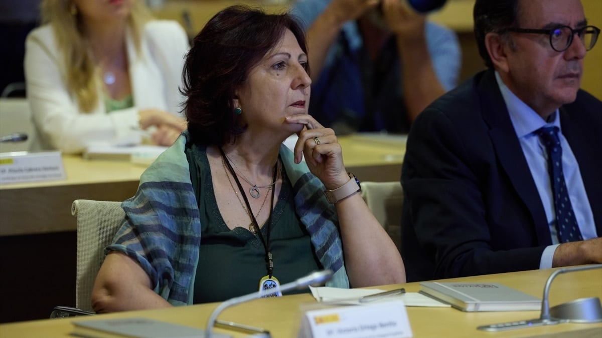 Las asociaciones piden una reforma del Estatuto para desligar el cargo de Peramato del Gobierno