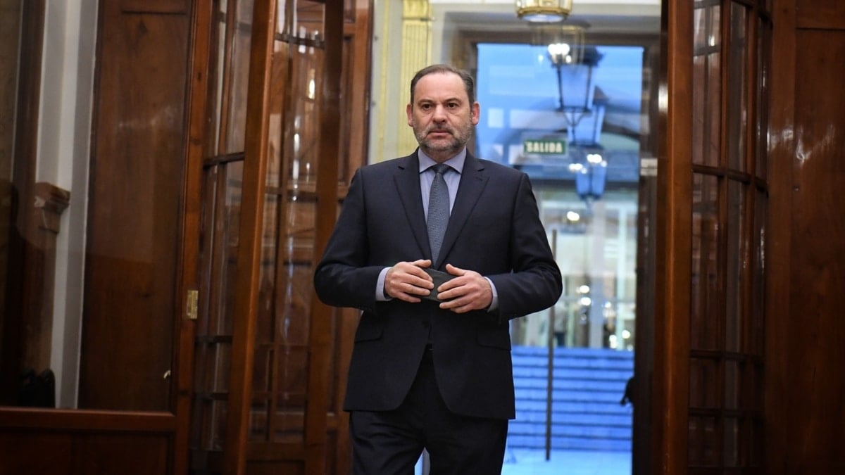 El diputado del Grupo Mixto y exministro de Transportes y ex 'dos' del PSOE, José Luis Ábalos, en los pasillos del Congreso