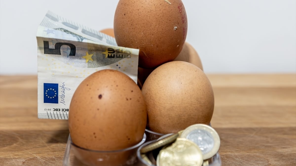 La carestía de los huevos.