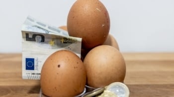 El precio de los huevos se dispara aún más con la gripe aviar