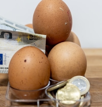 El precio de los huevos se dispara aún más con la gripe [...]