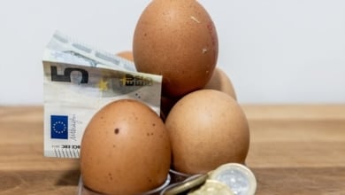 El precio de los huevos se dispara aún más con la gripe aviar