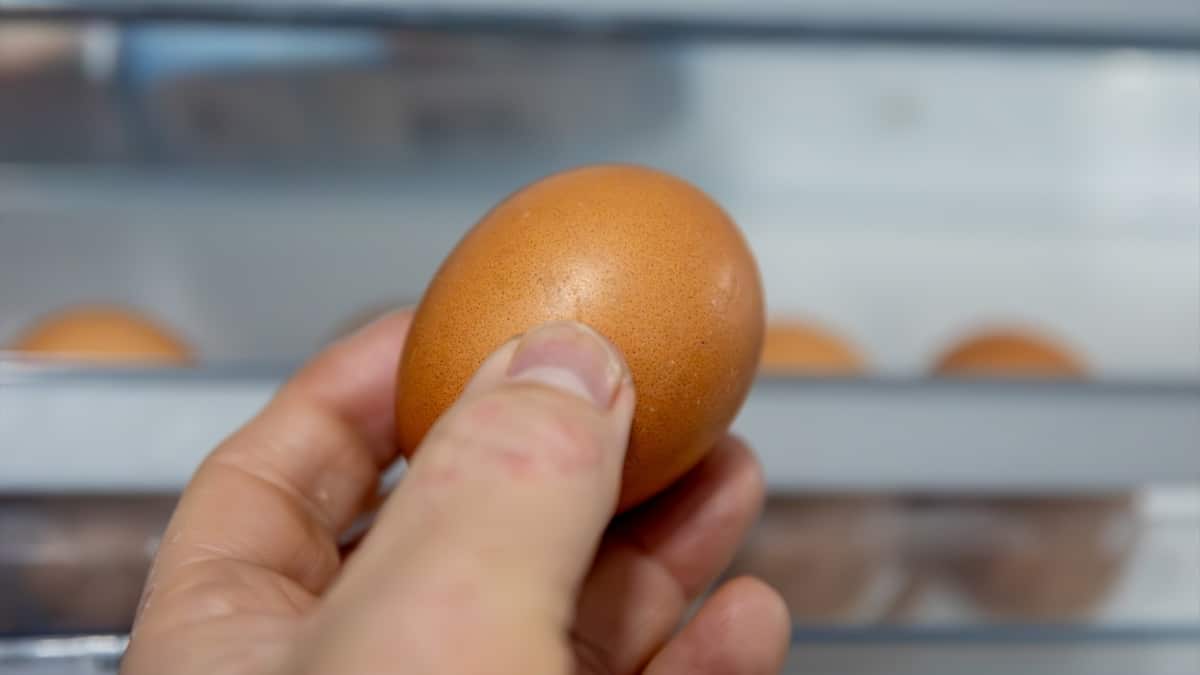 La situación de la gripe aviar en España no es buena y podría empeorar con la bajada de las temperaturas