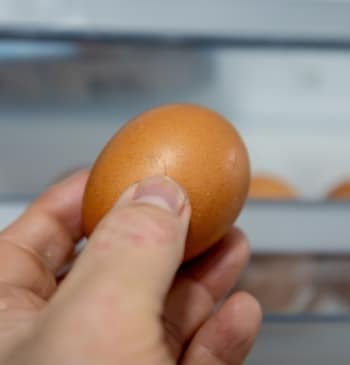 La situación de la gripe aviar en España no es buena y [...]