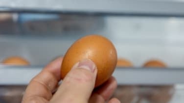 La situación de la gripe aviar en España no es buena y podría empeorar con la bajada de las temperaturas