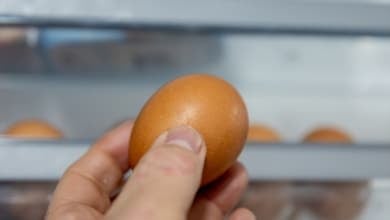 La situación de la gripe aviar en España no es buena y podría empeorar con la bajada de las temperaturas