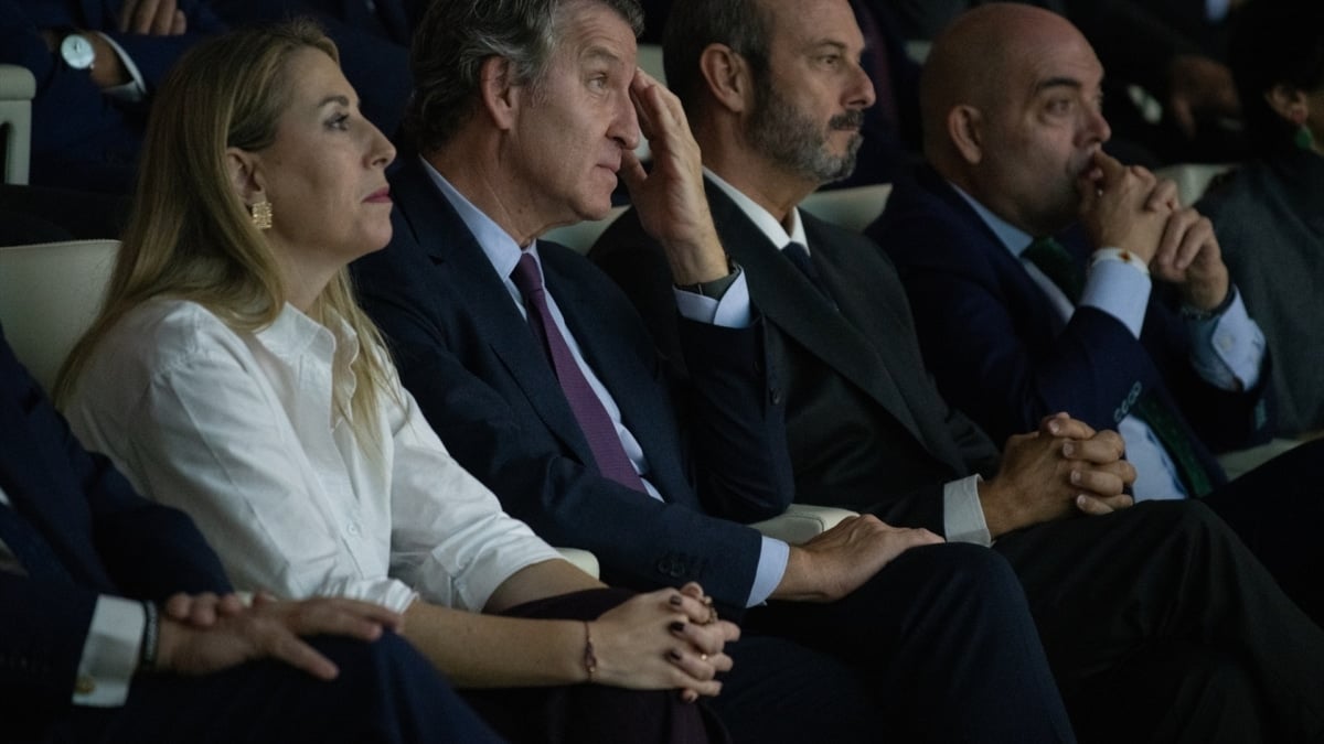 El PP llevará este miércoles al Senado un nuevo conflicto con el Congreso por sus leyes bloqueadas