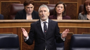 El PP pide los expedientes de una sumisión química en la que Marlaska apoyó a Bildu