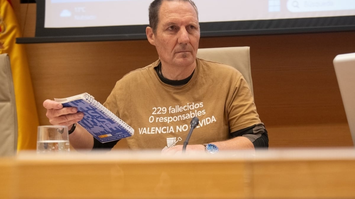 Manuel Cristian Lesaec Catalá, en la Comisión del Congreso sobre la DANA.