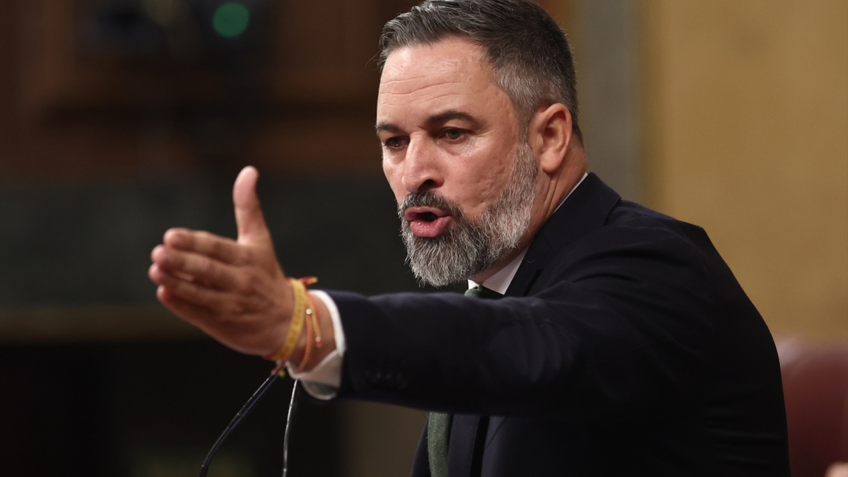 El presidente de Vox, Santiago Abascal, interviene en la tribuna del Congreso, este miércoles