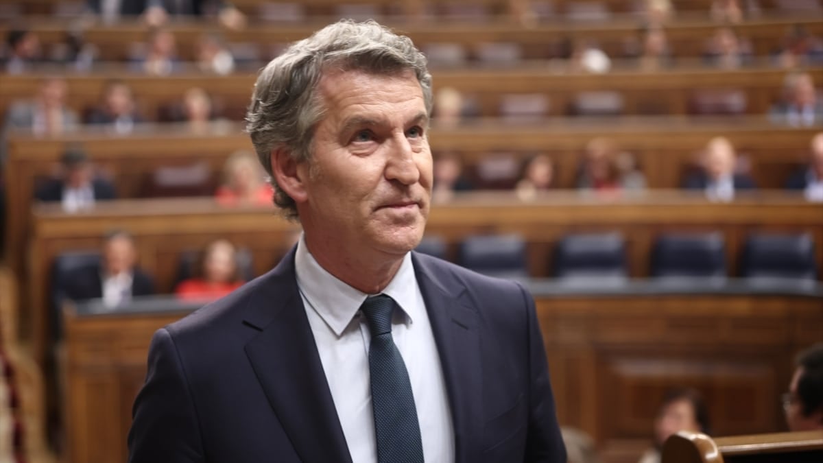 El presidente del PP, Alberto Núñez Feijóo, en el Congreso de los Diputados