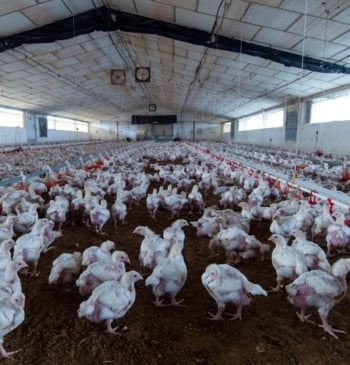 EEUU registra la primera muerte de una persona infectada con la variante [...]