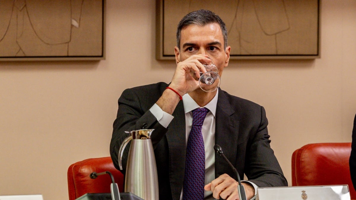 El presidente del Gobierno, Pedro Sánchez, durante la presentación de la serie de Movistar Plus+ 'Anatomía de un instante', basada en la novela de Javier Cercas, este 20 de noviembre de 2025 en la Comisión Constitucional del Congreso.