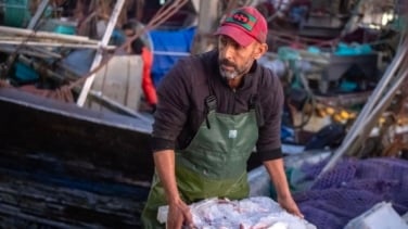 La explotación por Marruecos de los recursos naturales del Sáhara Occidental ocupado