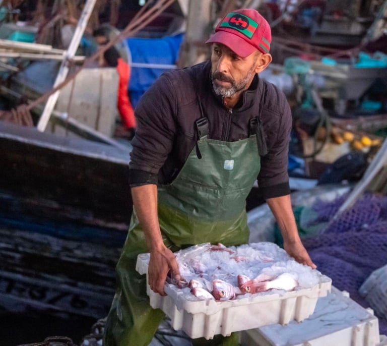 La explotación por Marruecos de los recursos naturales del Sáhara Occidental ocupado