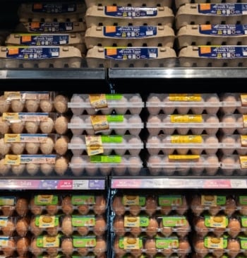 Esta es la mejor marca de huevos del supermercado