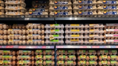 Esta es la mejor marca de huevos del supermercado
