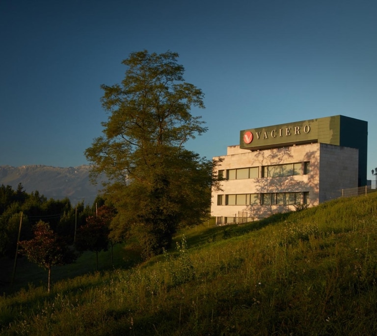 VACIERO obtiene ocho distinciones por su excelencia en el ranking internacional Best Lawyers 2026