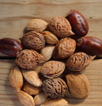 El motivo por el que deberías limpiar siempre los frutos secos antes [...]